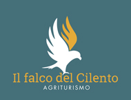 Il Falco del Cilento