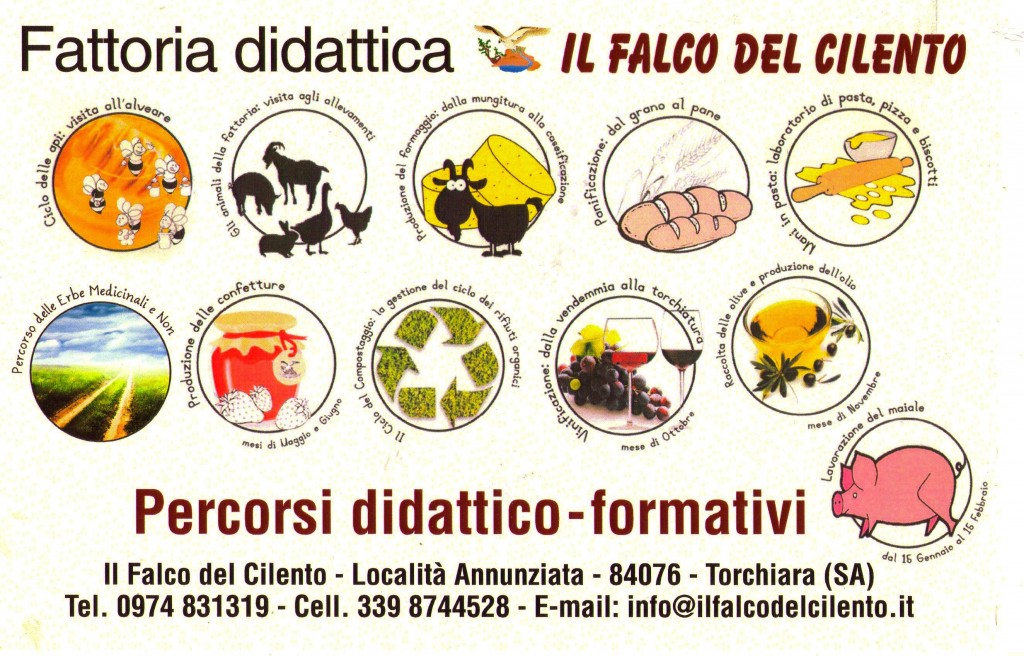 Percorsi didattico formativi