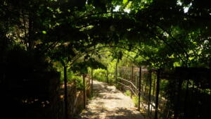 Arco Viale dei Pavoni