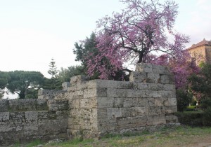Antiche mura